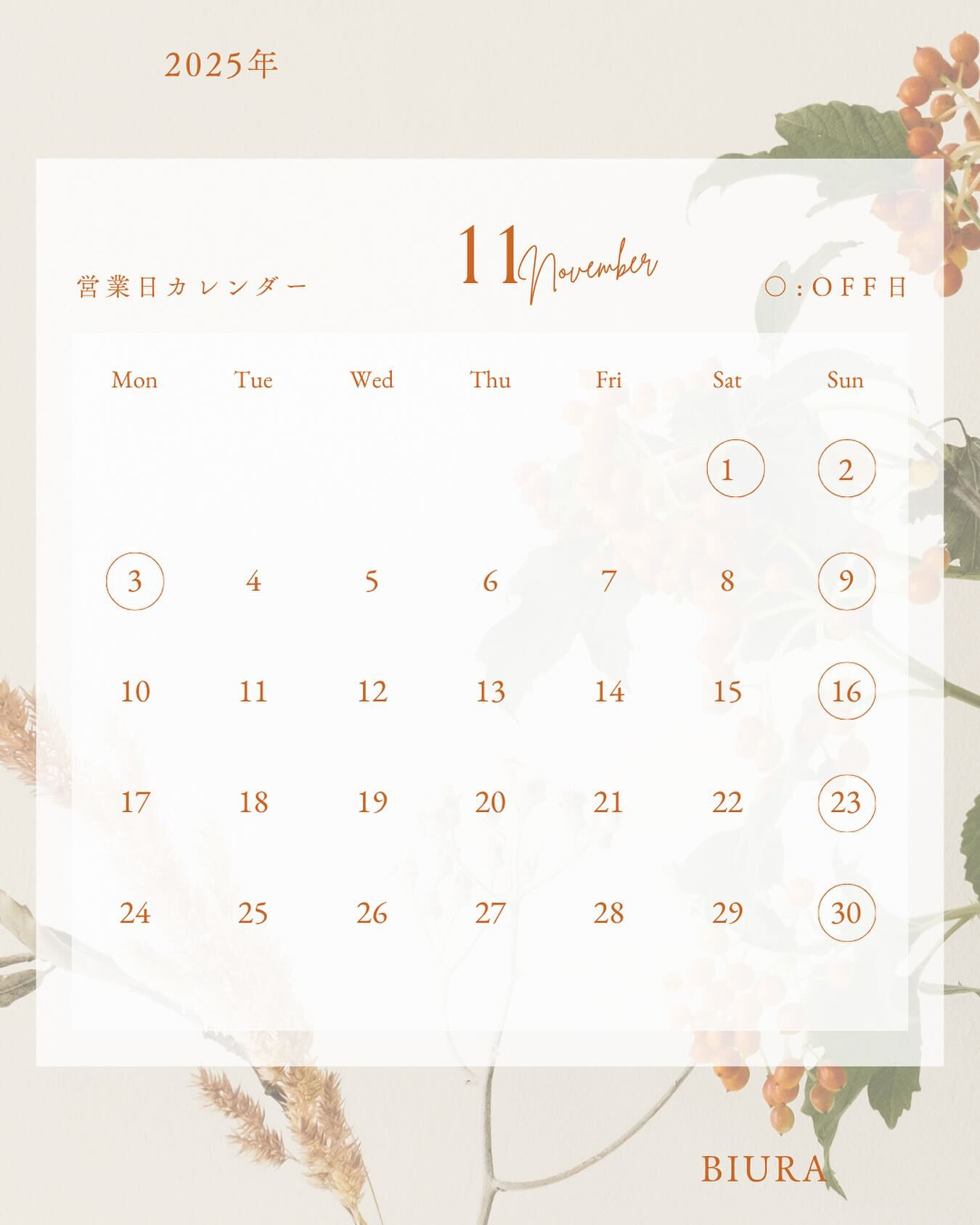 こんばんは！