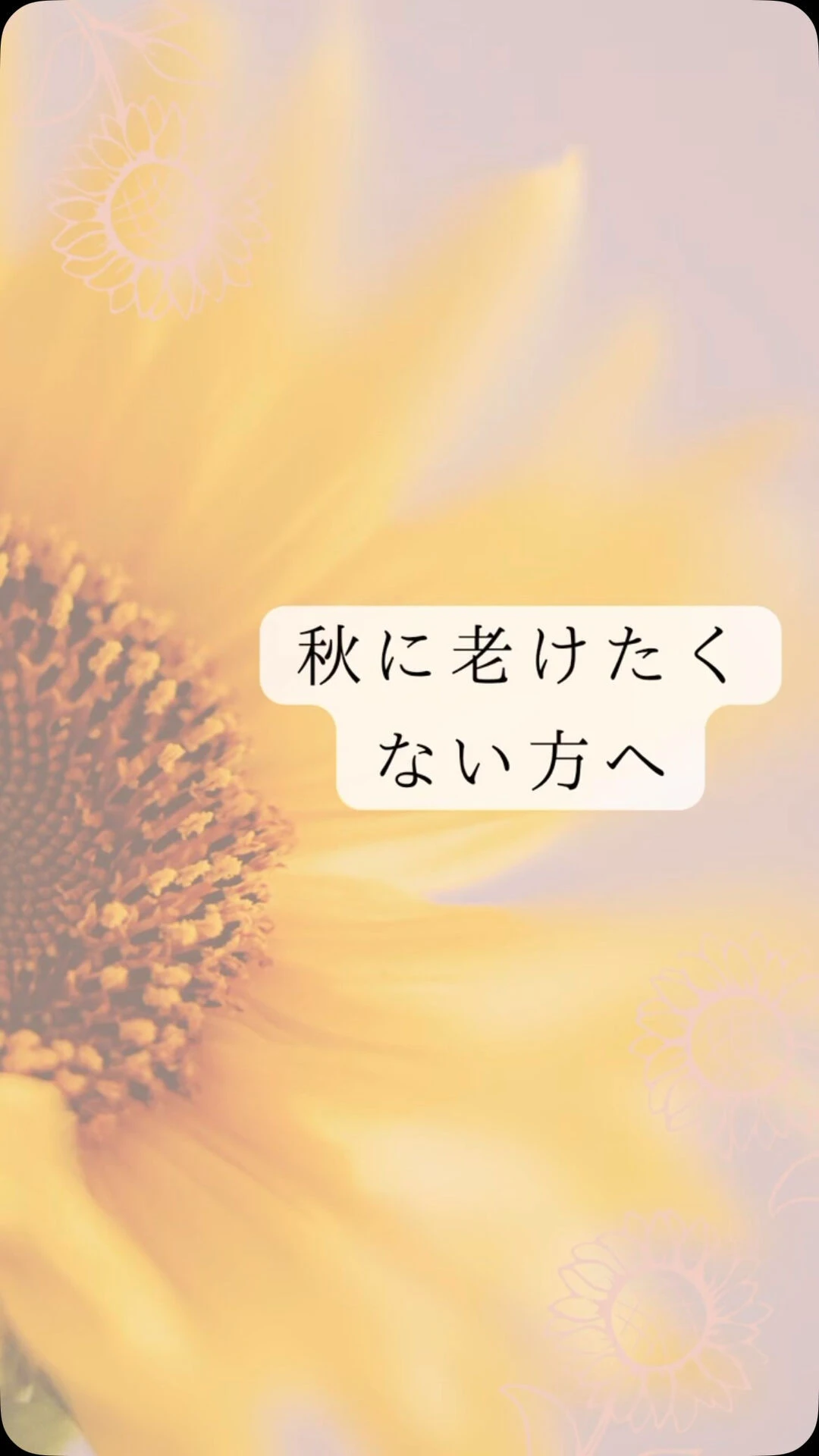 ⁡山梨県甲府市で